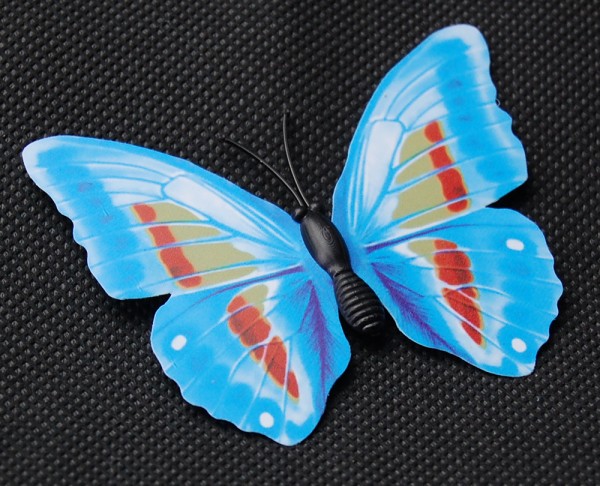 Magnet Schmetterling blau 70x50 mm - BFBL0024
